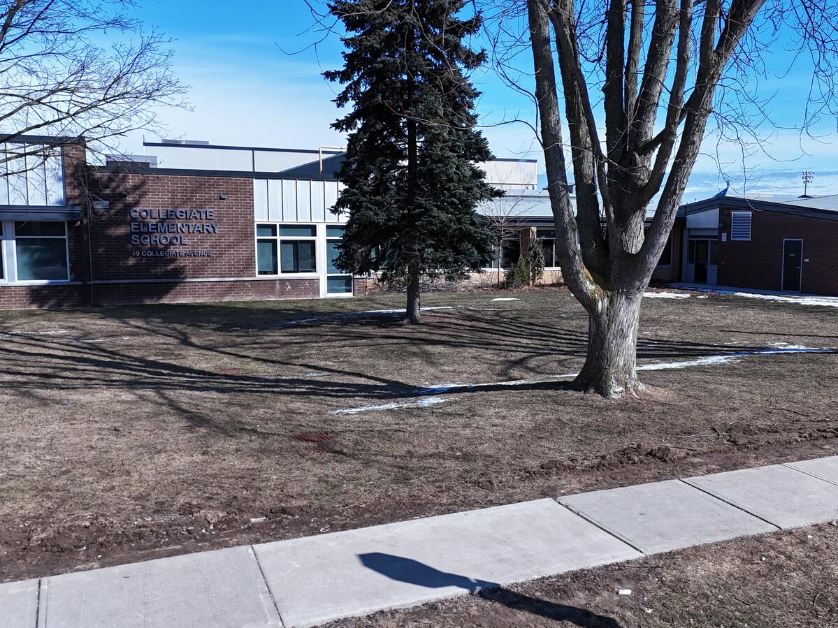 Picture of Collegiate School